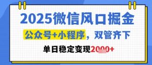 2025微信风口掘金，公众号+小程序双管齐下，单日稳定变现1k+【揭秘】-泱泱学习社