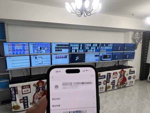 2025年实操六大项目实操演练，挂机类型，AI直播类型，轻资产创业类型，...-泱泱学习社