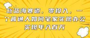 新蓝海赛道，零投入，一个普通人如何宅家办公实现年入百万-泱泱学习社