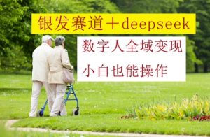 银发赛道+deepseek数字人全域变现，小白也能操作-泱泱学习社