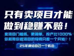 只有卖项目才能做到稳挣不赔，门槛低，更简单，你也可以年入百个W【揭秘】-泱泱学习社