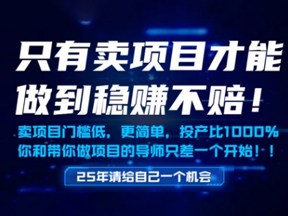 只有卖项目才能做到稳挣不赔，门槛低，更简单，你也可以年入百个W【揭秘】-泱泱学习社