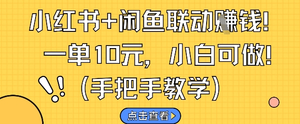 小红书+闲鱼联动挣钱，一单10元，小白可做-泱泱学习社