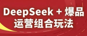 DeepSeek+爆品运营组合玩法，2025淘系精品课-泱泱学习社