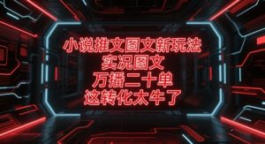 小说推文图文新玩法，实况图文，万播二十单，这转化太牛了！-泱泱学习社