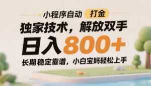 小程序自动打金独家技术，解放双手日入8张，长期稳定靠谱，小白宝妈轻松上手【揭秘】-泱泱学习社