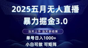 2025五月无人直播暴力掘金3.0，当天上手，当天拿结果，单号日入1k+小白可做可矩阵【揭秘】-泱泱学习社