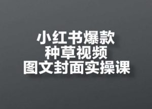 小红书爆款种草视频图文封面实操课,开店、选品、引流、变现全流程-泱泱学习社