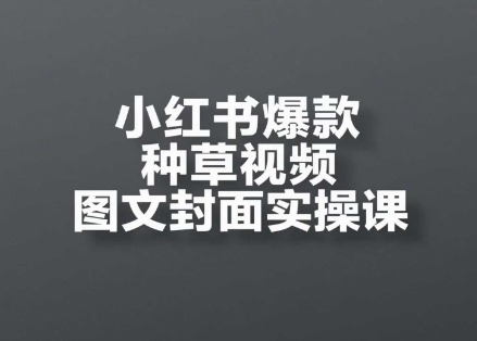 小红书爆款种草视频图文封面实操课，​开店、选品、引流、变现全流程-泱泱学习社