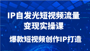 IP自发光短视频流量变现实操课，爆款短视频创作IP打造-泱泱学习社