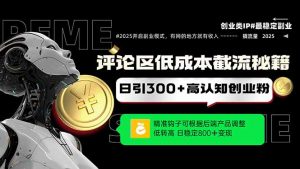 评论区低成本引流秘籍，精准钩子直击用户，单账号日增300+创业粉，日稳...-泱泱学习社