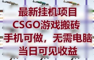 最新挂G项目，CSGO游戏搬砖，手机可做，无需电脑，当日见收益【揭秘】-泱泱学习社