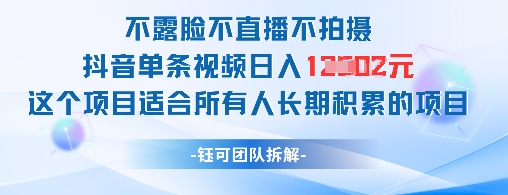 不露脸不直播不拍摄抖音单条视频日入1k+这个项目适合所有人长期积累的项目-泱泱学习社