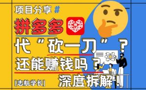 【2025最新】拼多多代坎助力项目深度拆解：还能挣钱吗?全流程玩法-泱泱学习社