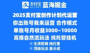 2025支付宝创作分成计划代运营，高爆自然流玩法，纯挂机高分成，合作共赢模式！-泱泱学习社