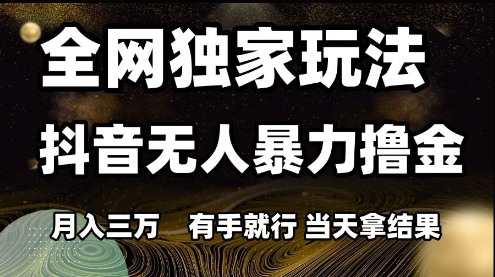 全网独家玩法抖音无人暴力撸金，月入3W，有手就行，当天拿结果【揭秘】-泱泱学习社