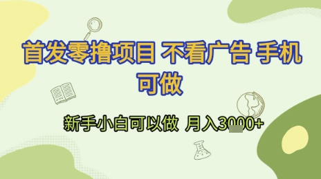 首发零撸项目 不看广告 手机可做 新手小白可以做  月入3k+【揭秘】-泱泱学习社