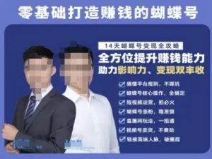 蝴蝶号专栏-视频号运营教程，零基础打造挣钱的蝴蝶号，14天蝴蝶号变现全攻略-泱泱学习社