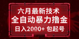 六月最新技术全自动暴力撸金,稳定日入2k+包起号,长期稳定【揭秘】-泱泱学习社