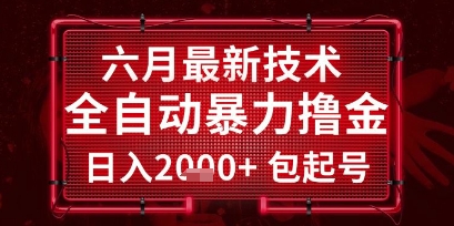 六月最新技术全自动暴力撸金，稳定日入2k+包起号，长期稳定【揭秘】-泱泱学习社