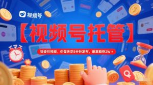 【视频号托管 】我提供视频，你每天花5分钟发布，最高躺挣2W+【揭秘】-泱泱学习社