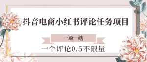 抖音电商小红书评论任务项目，一个评论0.5，一单一结 不限量-泱泱学习社