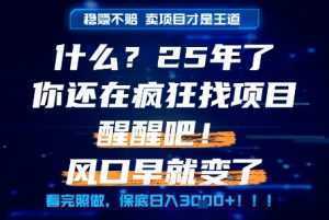 什么？25年你还在疯狂找项目做，醒醒吧，看完这些你全都懂了！【揭秘】-泱泱学习社