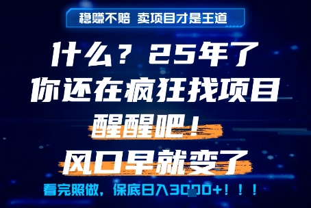 什么？25年你还在疯狂找项目做，醒醒吧，看完这些你全都懂了！【揭秘】-泱泱学习社