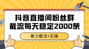 抖音直播间粉丝群暴力截流，一台电脑每天稳定2000条数据【揭秘】-泱泱学习社