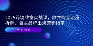 2025跨境致富实战课，收并购全流程拆解，自主品牌出海营销指南-泱泱学习社