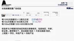 阿蔺Leo·跨境油管视频YouTube实训营(更新2025)-泱泱学习社