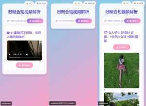 全新二次元聚合短视频解析去水印系统源码 自适应双端-泱泱学习社