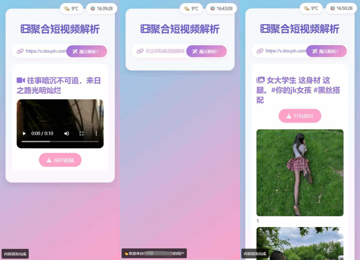 全新二次元聚合短视频解析去水印系统源码 自适应双端-泱泱学习社