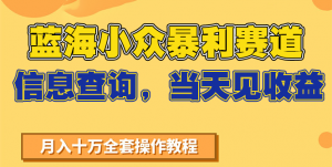 蓝海小众暴利赛道，信息查询，当天见收益，不讲玄学，7天搞了2万+-泱泱学习社