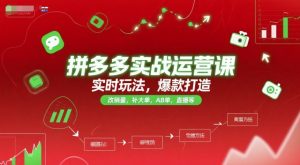 拼多多实战运营课，实时玩法，爆款打造，改销量，补大单，AB单，直播等(更新2025月)-泱泱学习社