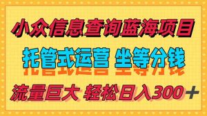 稳定日入300+,小众信息查询蓝海项目,全程懒人式托管,解放你的时间-泱泱学习社