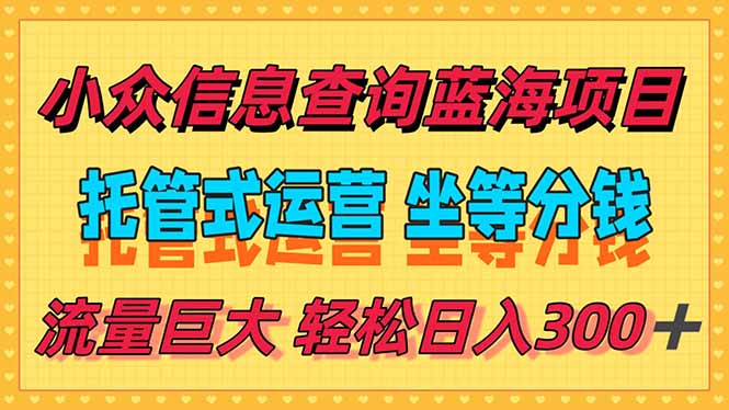 稳定日入300＋，小众信息查询蓝海项目，全程懒人式托管，解放你的时间-泱泱学习社
