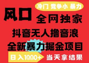25年6月高爆抖音无人直播最新撸音浪掘金项目,解放双手小白可做,无脑日入1k+,门槛低【揭秘】-泱泱学习社