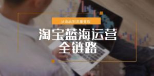 淘宝蓝海运营全链路,从选品到流量变现,小类目突围完整方案-泱泱学习社