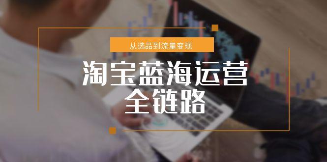 淘宝蓝海运营全链路，从选品到流量变现，小类目突围完整方案-泱泱学习社