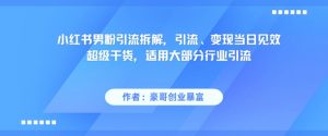 小红书男粉引流拆解，引流、变现当日见效超级干货，适用大部分行业引流-泱泱学习社