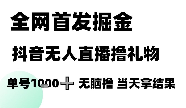 全网首发掘金抖音无人直播撸礼物，单号1k +无脑撸，当天拿结果【揭秘】-泱泱学习社
