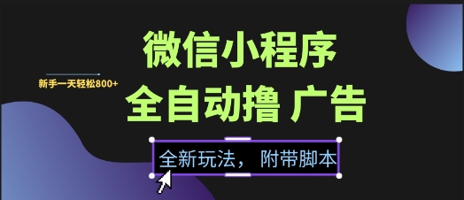 微信小程序全自动撸广告项目，彻底解决没流量的问题，新手一天8张+【揭秘】-泱泱学习社