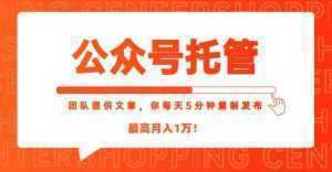 【公众号托管 】我提供文章，你每天５分钟复制发布，最高月入1W-泱泱学习社