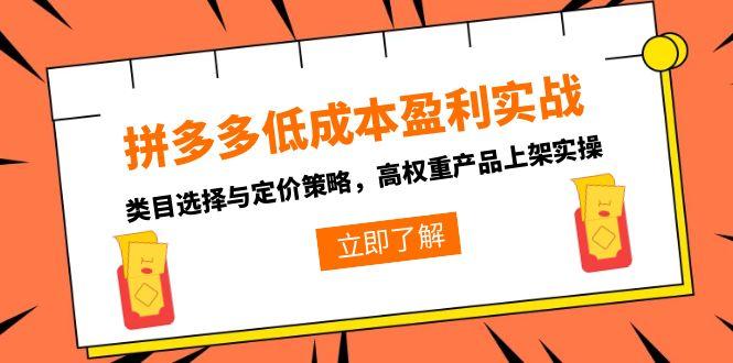 拼多多低成本盈利实战，类目选择与定价策略，高权重产品上架实操-泱泱学习社
