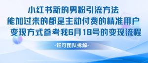 小红书全新男粉引流实操方法，日引流100多精准男粉-泱泱学习社