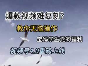 视频号4.0重磅上线，爆款视频难复刻？教你无脑操作宝妈学生党的福利【揭秘】-泱泱学习社