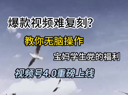 视频号4.0重磅上线，爆款视频难复刻？教你无脑操作宝妈学生党的福利【揭秘】-泱泱学习社