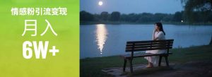 情感粉引流变现实操课：单月变现6w+，情感粉引流变现实操课-泱泱学习社