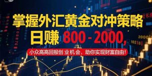 掌握外汇黄金对冲策略，日赚 800 - 2000，小众高回报创业机会，助你实...-泱泱学习社